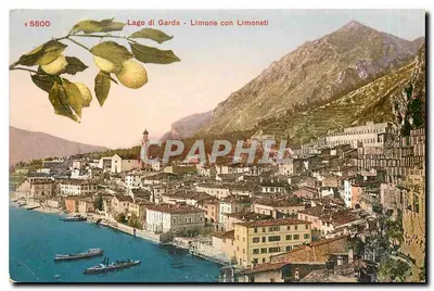 Lago di Garda - Limone con Limoneti — vista panorâmica — editor Photoslabor Zürich, n° 5800
