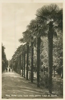 Riva, Hotel Lido, Viale delle palme — Lago di Garda — Lastre fot. Lomberg