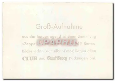 Podróż do Egiptu 1931 — Widok z lotu nad lasami palmi – Klub Zeppelin — Rewers