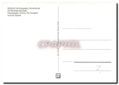 Soglio — dolina Bregaglia, stado owiec — n° 18-276 — Rewers