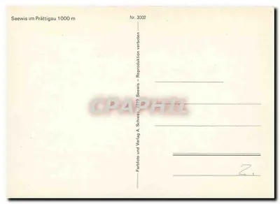 Seewis — widok panoramiczny z zasnieżonymi górami — A. Schiess & Verlag, nr 3002 — Rewers
