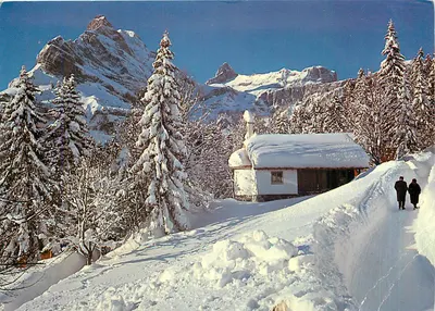 Braunwald GL (Suíça) — Catedral da Floresta com Ortsstock — editor Schenwetter, n° 3953