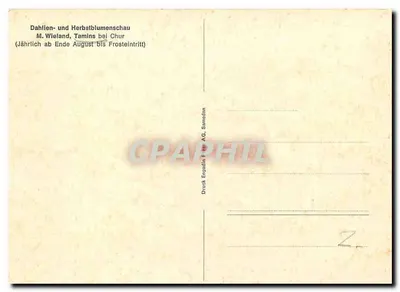 Jardim de dahlias e flores de outono em Tamins — perto de Chur — editor Druck Engadin F. AG, Samaden — Verso