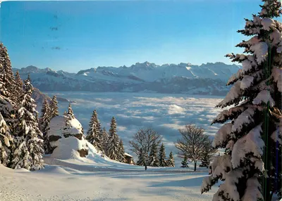 Vista nevada do Rigi — Rigi Kaltbad-Känzeli — editor Colorphoto e Verlag, n° 4175