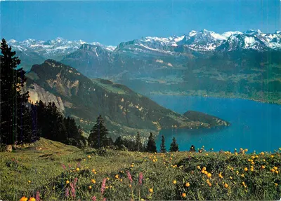 Monte Rigi — Vista sobre o lago de Lucerna e as Alpes — Verlag M. Bürge, Wiznau, n° 4308