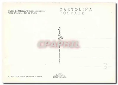Ilhas de Brissago — Lago Maggiore — Ed. Foto Pancaldi, Ascona, N. 636 — Verso