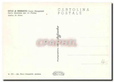Jardim botânico de Isola Brissago — Lago Maggiore — Ed. Foto Pancaldi, Ascona, n° 775 — Verso