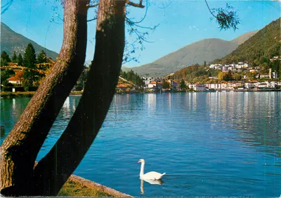 Ponte Tresa (VA) — Vista panorâmica — Editor Pote 53/111