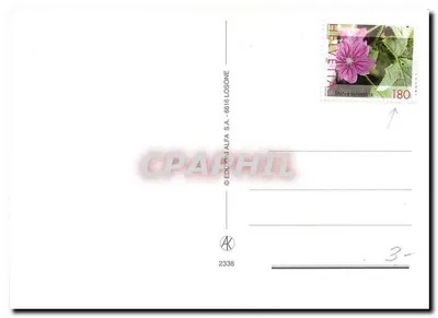 Saudações do Ticino — paisagens e monumentos — Edições Alfa S.A. n° 2338 — Verso