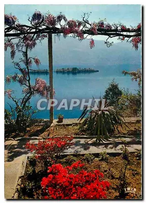 Porto-Ronco (Lago Maggiore) — Vista das ilhas de Brissago — Ed. Foto Pancaldi, Ascona, N° 772