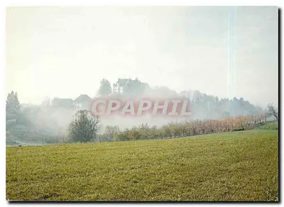Schloss Sonnenberg — 75 Jahre Thurgauer Heimatschutz — Foto Konrad Keller