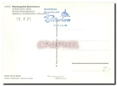 Grosser Aletschgletscher — widok panoramiczny — Foto Klopffenstein, nr 44543 — Rewers