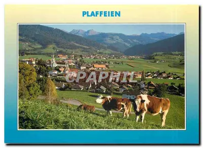 Plafffeien — vista panorâmica com vacas — Edição G. Feuury, CH-1752 Villars-sur-Glâne