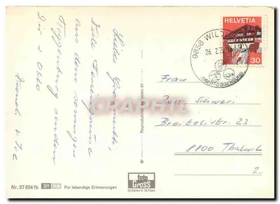 Obertoggenburg — vista panorâmica — Reproducteur St. Gallen & St. Fiden, n° 37 854 fb — Verso