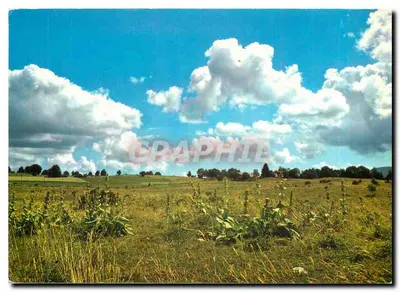Piquete do Alto Jura — Conservação da vegetação natural — Graphil