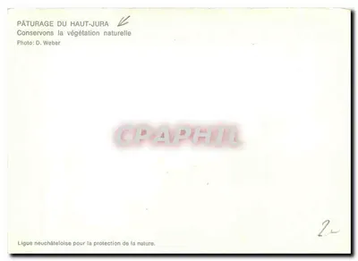 Piquete do Alto Jura — Conservação da vegetação natural — Graphil — Verso
