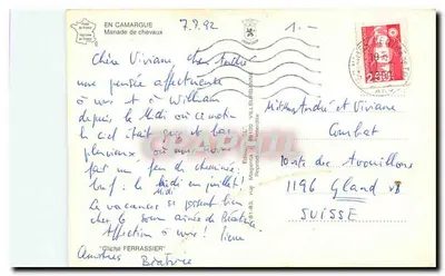 Camargue — Manada koni — PAP — Rewers