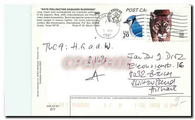 Bats — Bestuiving van Saguaro Bloemen — Mostly Postcards Inc. n°118 — Achterkant
