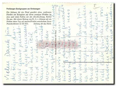 Pferdewagen mit Last — Freiberger Zweigespann — Verso