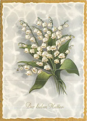 Arranjo de flores de muguet — para a querida mãe — editor não identificado, número de série não visível