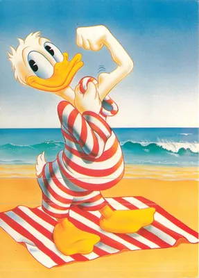 Donald Duck — na praia — Disney-Verlag