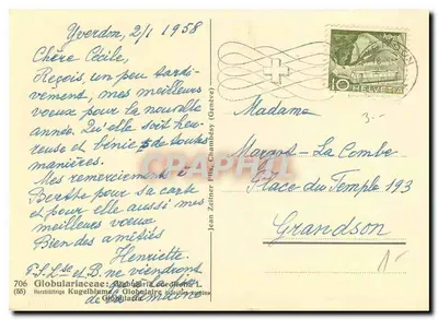 Globulaire cordifolia — flores violetas na montanha — Jean Zelner Fils, Genebra — Verso