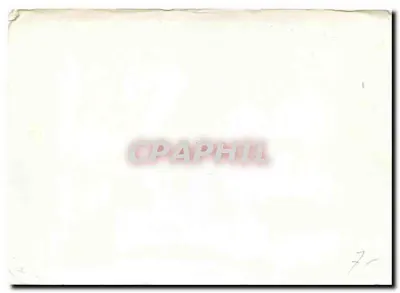 Papai Noel regando um abeto — ilustração — n°7 — Verso