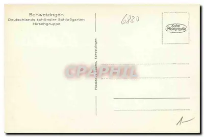 Schwetzingen — Hirschgruppe — Photohaus Hrome, Schwetzingen — Verso