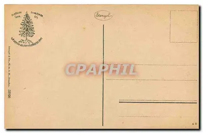Bad Harzburg - Radaufall — wydawca Stengel & Co. w H. Preußen — Rewers