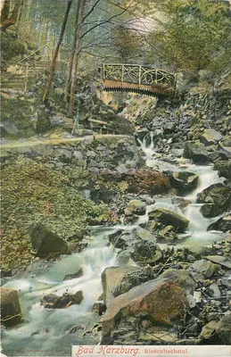 Bad Harzburg. Riefenbachstal — ponte metálica sobre um riacho na floresta — editor: G. Duscher & Söhne, 1908