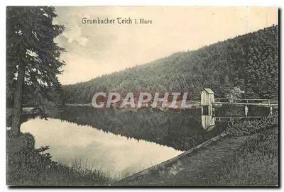 Grumbacher Teich i. Harz — lago cercado por florestas — Bernhard Franke, Leipzig, n° 166