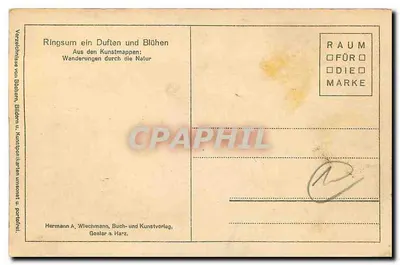 Pejzaż naturalny — las i ścieżka — Hermann A. Wiechmann, Goslar a. Harz — Rewers