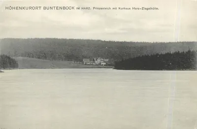 Höhenkurort Buntentenbock no Harz — Prinzenteich com Kurhaus Harz-Ziegelhütte — editor F. Rautbold, n° 3392
