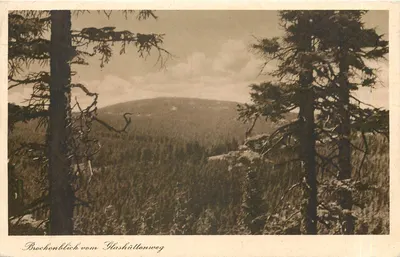 Vista do Brocken a partir do caminho das cabanas — Brockenblick vom Slashüttenweg — editor oficial Brocken Hotel, n° 127