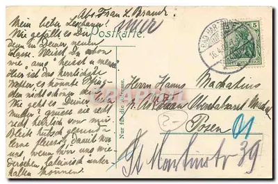 Krowy w lasach Harzu — Gruss aus dem Harz — wydawca: Foto Seiler, n° 4936 — Rewers