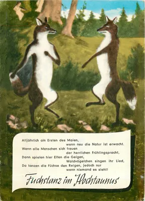 Dança do Lobo no Hochtaunus — Restaurante Dança do Lobo no Taunus, editor Körns Großer Verlag