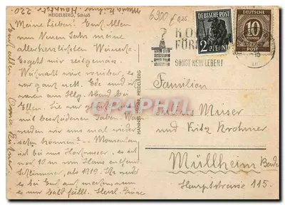 Heidelberg — kasteel en brug over de Rijn — Birk — Achterkant