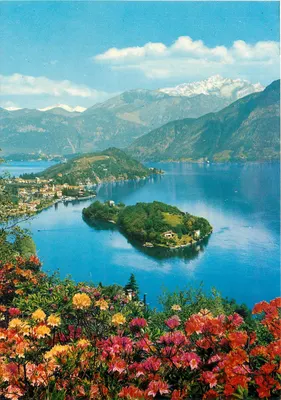 Lago di Como - Isola Comacina — Clerici, n° 346