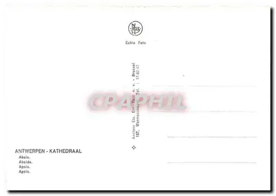 Antwerpen - Katedrała — Absydę — Echte Foto, Bruxelles — Rewers