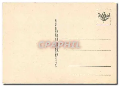 La Rhön — carta postal ilustrada — E.W.S. Schlüchtern-Wallroth — Verso