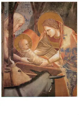 Natividade de Jesus — detalhe da Cappella degli Scrovegni — editor A. Matteiello, Milão