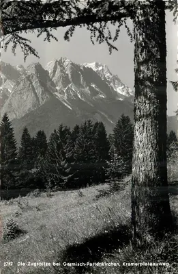 A Zugspitze perto de Garmisch-Partenkirchen — vista enquadrada por uma árvore — Foto Beckert, Garmisch-Partenkirchen, n° 1717