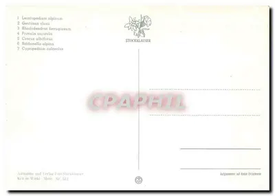 Reit im Winkl — Flores alpinas — Editor Stockklauser, n° 512 — Verso
