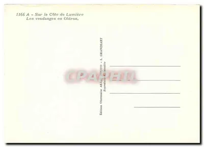 Zbieranie winogron w Oléron — Côte de Lumière — Wydawnictwo Oleronaise — Rewers