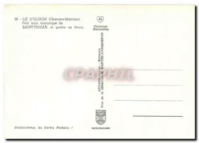 Saint-Trojan - Kleine toeristische trein en bloeiende gemberstruiken — Artaud Presses, N°96 — Achterkant
