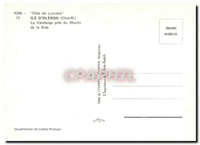 Côte de Lumièrè — Zbieranie winogron obok Młyna la Brée — Wydawnictwo Europy, Pierron — Rewers
