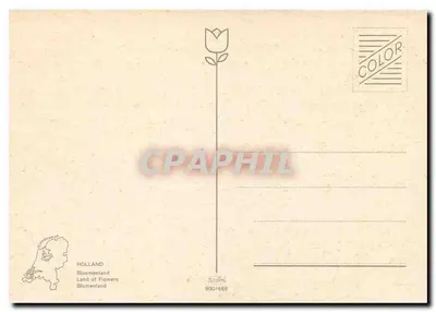 Campo de tulipas vermelhas e amarelas — Holanda — edição Sallimé n° 900/468 — Verso