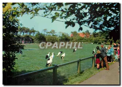 Knokke-Zoute — O santuário das aves do Zwin — Photo-Hall Bruxelles