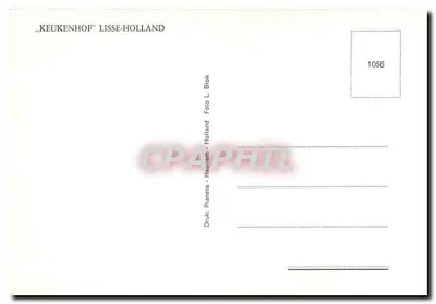 Campo de tulipas rosa — moinho de vento — Keukenhof, Lisse-Holanda — editor L. Blok — Verso