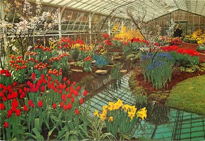 Jardim botânico do Keukenhof — Lisse, Holanda — editor Planeta, n° 7103A